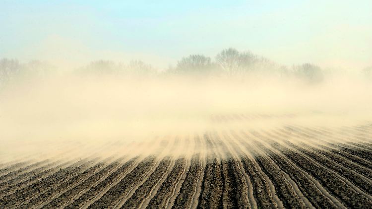 Bei starker Trockenheit und heftigem Wind wird die Ackerkrume einfach weggeweht.