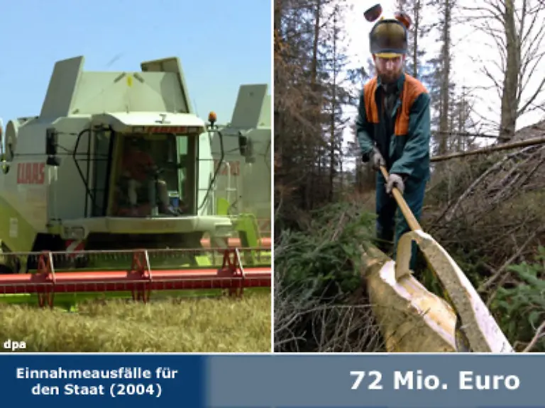 Forst-und-Landwirte-profitieren-unter-bestimmten-Voraussetzungen-von-einem-erhoehten-Freibetrag-bei-der-Einkommenssteuer