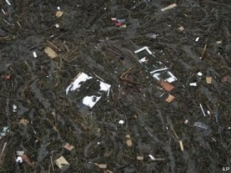 Rita-schob-in-einer-Mischung-aus-Schlick-Wasser-Holz-und-Plastik-alles-zusammen-was-dem-Sturm-und-den-Ueberschwemmungen-nicht-standhielt