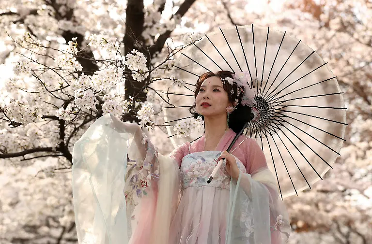Wearing-a-Chinese-Hanfu-dress-Jiahui-Xu-who-is-from-China-is-photographed-with-cherry-blossoms-at-the-Tidal-Basin-in-Washington-March-26
