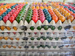 Hessen: Auf dem Ostertisch finden sich mehr ökologische Eier