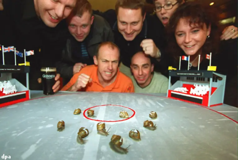 Auch-anderer-launiger-Zeitvertreib-koennte-wieder-staerker-Beachtung-finden