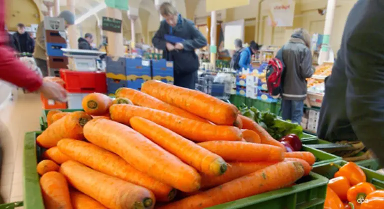 Laut-Greenpeace-ist-vor-allem-Obst-und-Gemuese-aus-Suedeuropa-mit-Pestiziden-belastet-Vergleichsweise-gute-Noten-erhielt-dagegen-Obst-und-Gemuese-aus-Oesterreich-und-den-Niederlanden