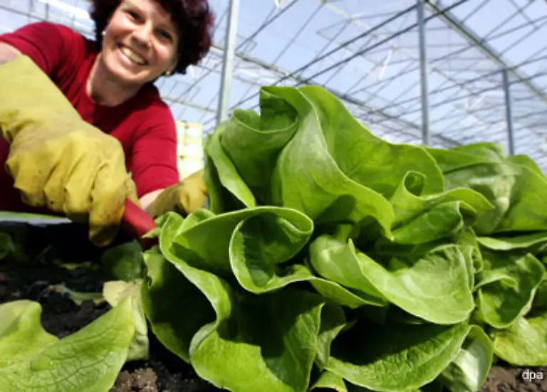 Bei-dieser-dramatischen-Faktenlage-darf-sich-nur-der-gluecklich-waehnen-der-sein-Obst-und-Gemuese-im-eigenen-Schrebergarten-ernten-kann