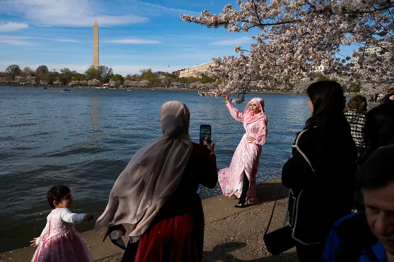 A-woman-dressed-in-pink-poses-with-the-cherry-blossoms-at-the-Tidal-Basin-in-Washington-D-C-U-S-March-29-2026