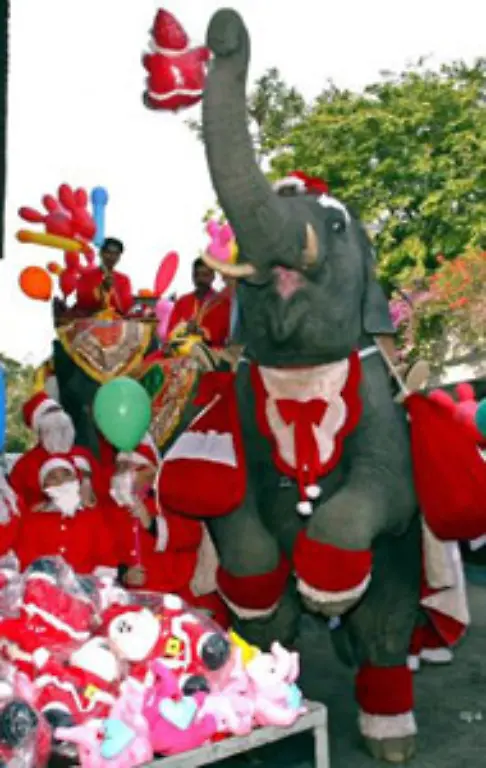 Der-Weihnachtselefant-in-Thailand