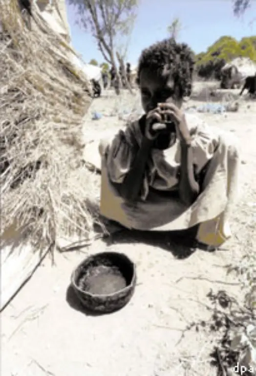 Zudem-erlebte-das-Land-2005-eine-der-schlimmsten-Duerren-seit-zwoelf-Jahren