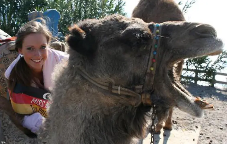 Wie-bewegt-sie-sich-Kann-sie-reiten-Passenderweise-fand-die-Kuer-auf-der-Galopprennbahn-statt