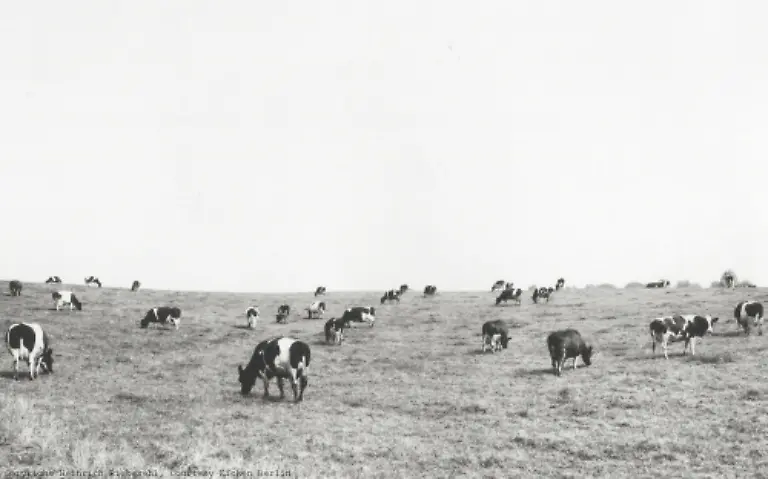 HEINRICH-RIEBESEHL-Klein-Waabs-Schleswig-Flensburg-Juli-1978-aus-der-Serie-Agrarlandschaften-1978