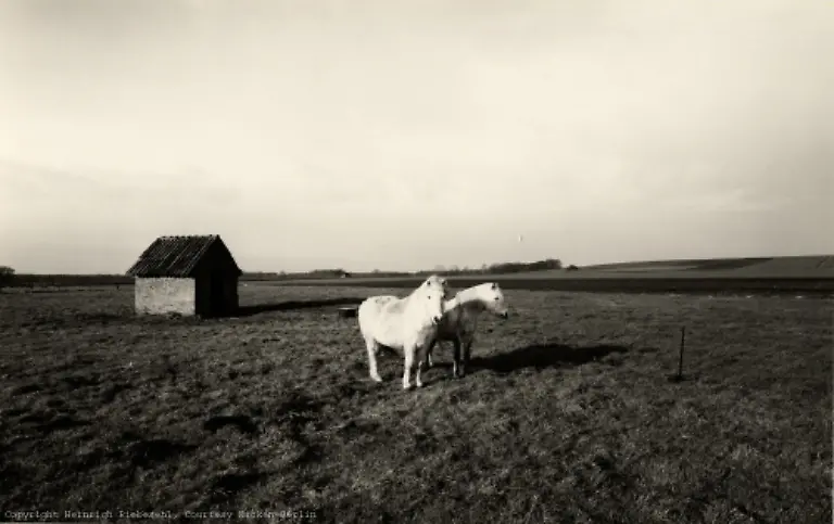 HEINRICH-RIEBESEHL-Duesselburg-Nienburg-November-1978-aus-der-Serie-Agrarlandschaften-1978