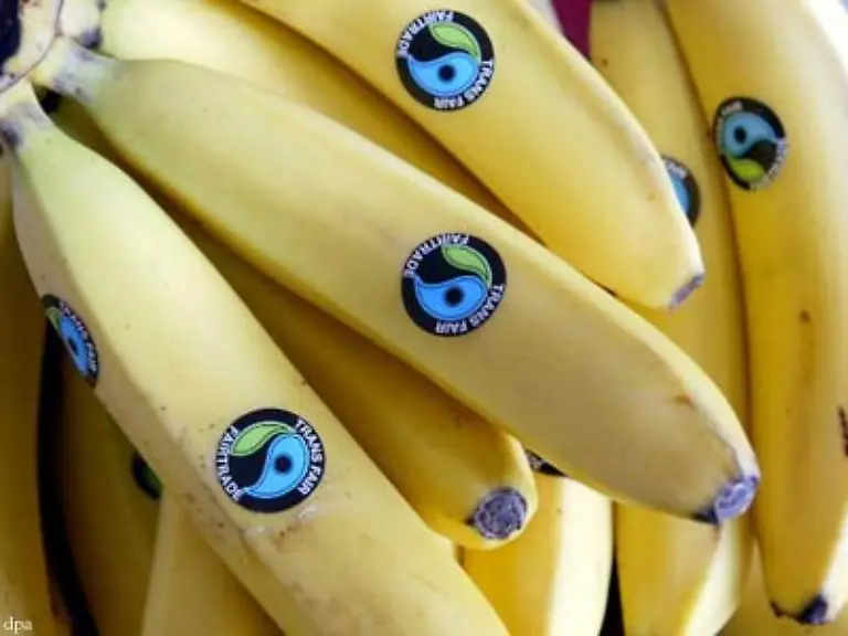 Bei-manchen-Dingen-die-die-Welt-ein-bisschen-besser-machen-muss-man-einfach-nur-seine-Gewohnheiten-aendern-Aktion-45-Kauf-fair-Trade-Produkte
