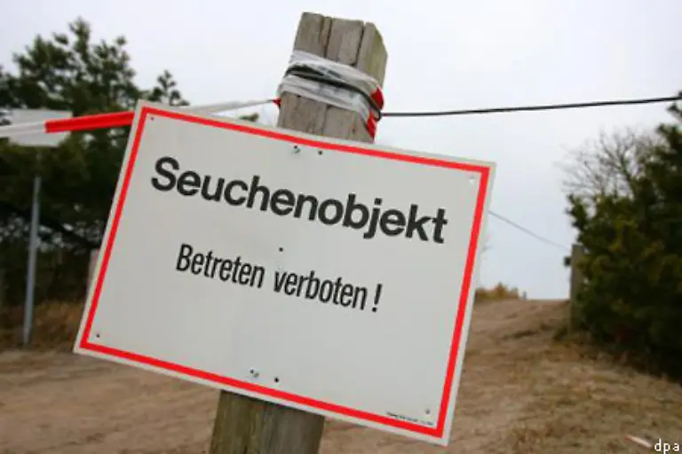 Die-Vogelgrippe-hat-sich-in-Deutschland-bisher-in-Mecklenburg-Vorpommern-ausgebreitet