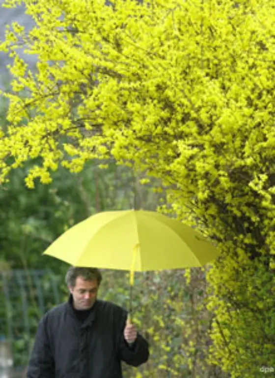 Oder-meinetwegen-auch-so