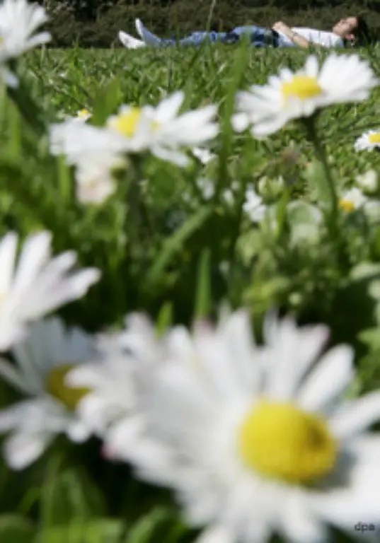 als-sonst