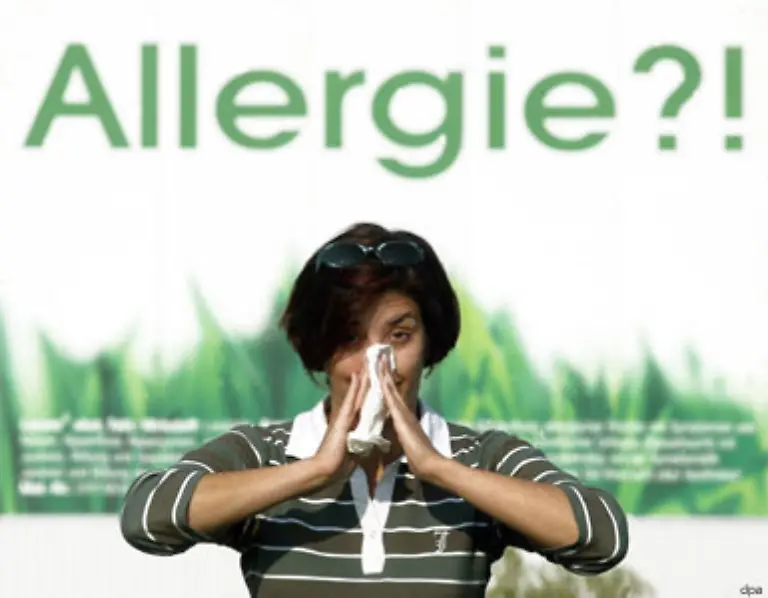 Pollen-haben-s-derzeit-auch-schwer