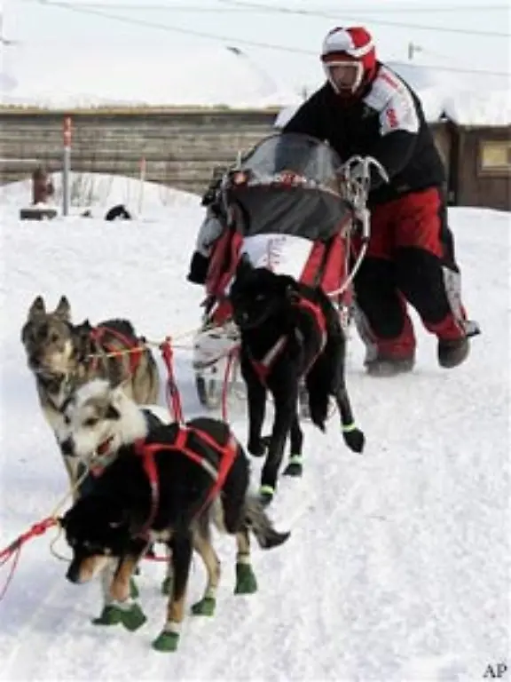 Post-Lebensmittel-und-Gold-alles-wurde-mit-Hilfe-von-Schlittenhunden-transportiert