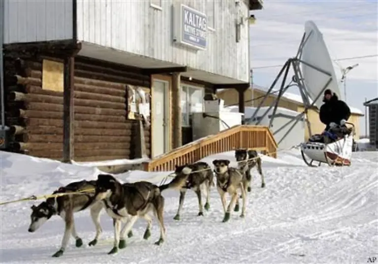 1925-wurde-dringend-ein-Serum-fuer-eine-Diphterie-Epidemie-in-Nome-benoetigt-Ein-Wettlauf-mit-der-Zeit-begann