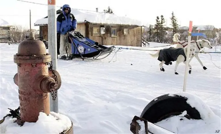 Mehrere-Teams-mit-Hundeschlittengespannen-brachten-den-Diphterie-Impfstoff-der-in-Kaninchenfell-eingepackt-war-nach-acht-Tagen-und-ca-1100-Kilometern-rechtzeitig-nach-Nome