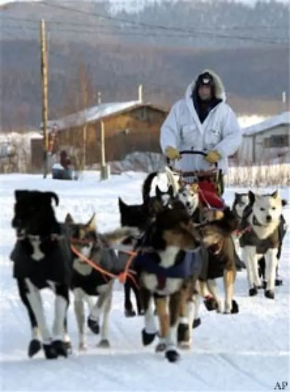 1967-waehrend-der-Feierlichkeiten-zum-100-jaehrigen-Verkauf-Alaskas-wurde-zur-Erinnerung-an-den-historischen-Iditarod-Trail-ein-56-Meilen-Rennen-organisiert-das-nur-zwei-Tage-dauerte