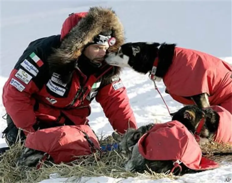 Jedes-Team-das-den-Weg-durch-eine-der-haertesten-und-gleichzeitig-faszinierendsten-Gegenden-der-Welt-auf-sich-nimmt-um-Mutter-Natur-zu-trotzen-hat-12-bis-16-Hunde