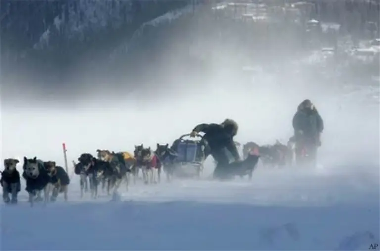 Sie-bewaeltigen-1100-Meilen-1760-Kilometer-Die-Laenge-wird-symbolisch-mit-1049-km-angegeben-weil-Alaska-der-49-Bundesstaat-der-USA-ist