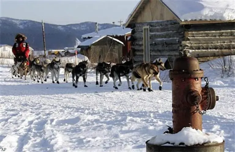 Der-Trail-fuehrt-die-Musher-durch-Gebirgszuege-zugefrorene-Fluesse-dichte-Waelder-weite-Tundren-und-offene-eisige-Kuestengebiete