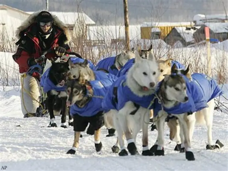 26-Checkpoints-muessen-die-Schlittengespanne-passieren-Schon-wer-Cripple-den-offiziellen-Halbzeit-Checkpoint-der-Nordroute-erreicht-bekommt-einen-Halbzeit-Award-und-3-000-US-Dollar-in-Goldnuggets