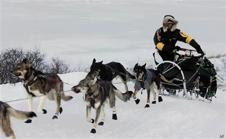 Nach-drei-Frauen-Siegen-hintereinander-in-den-80er-Jahren-nennt-man-Alaska-ironisch-ein-Land-wo-Maenner-Maenner-sind-und-Frauen-das-Iditarod-gewinnen