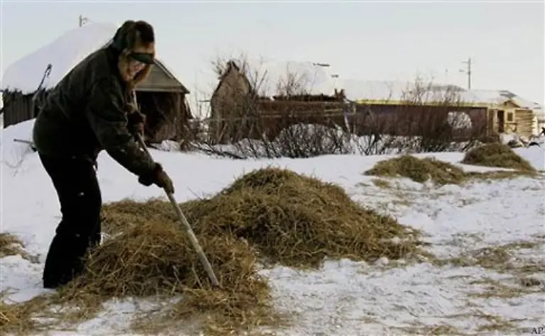 Das-Futter-ist-eine-Mischung-aus-Hundefutter-vermischt-mit-Rindfleisch-Mit-Flugzeugen-wird-es-an-die-Checkpoints-geflogen