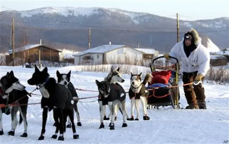 Vorgeschrieben-sind-eine-24-Stunden-Pause-und-zwei-8-Stunden-Pausen-Hunde-duerfen-nicht-ins-Zelt-und-Doping-ist-auch-verboten