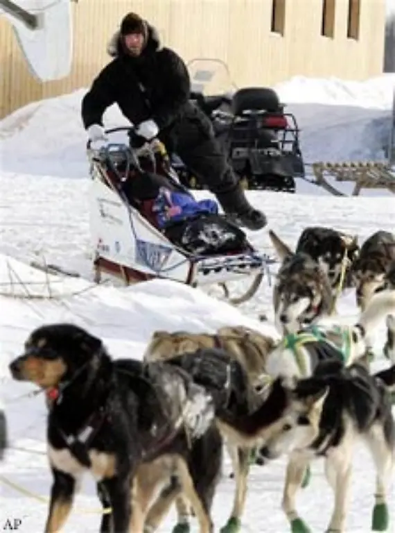 Die-Iditarod-Fans-sind-sich-jedenfalls-einig-trotz-kalter-Haende-ist-es-das-beste-Rennen-der-Welt