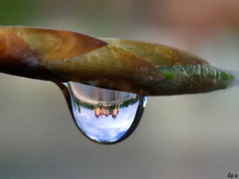 Auf-unserer-Erde-gibt-es-Schaetzungen-zufolge-1-40-bis-1-60-Milliarden-Kubikkilometer-Wasser-Davon-koennen-nur-etwa-0-03-Prozent-ohne-Vorbehandlung-als-Trinkwasser-genutzt-werden
