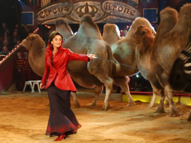 Maischberger-kennt-sich-aus-im-Umgang-mit-grossen-Tieren-Gelernt-hat-sie-das-schon