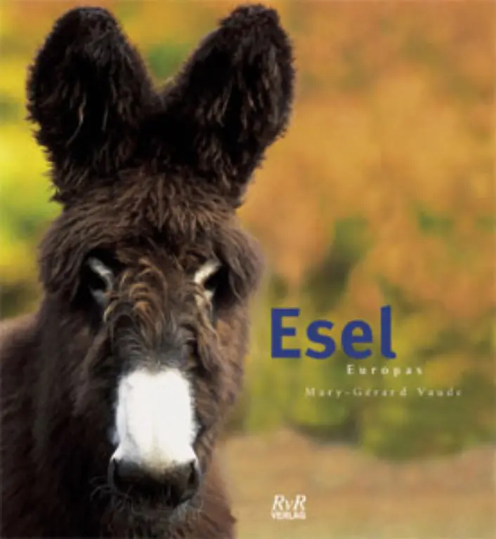 Dabei-aehnelt-er-vielleicht-staerker-der-Katze-Darauf-weist-das-Buch-hin-dem-die-Abbildungen-zu-dieser-Bilderserie-entnommen-sind-Esel-Europas-von-Mary-Grard-Vaude-erschienen-im-RvR-Verlag-ISBN-3-938265-10-8