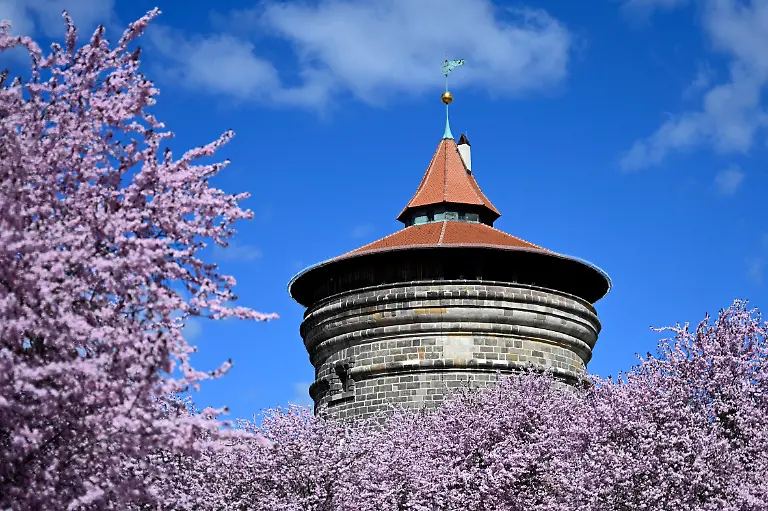 Rosa-Kirschblueten-bluehen-im-Fruehling-an-den-Sebalder-Hoefen-nahe-des-Torturms-Themenbild-Symbolbild-Nuernberg-27-03