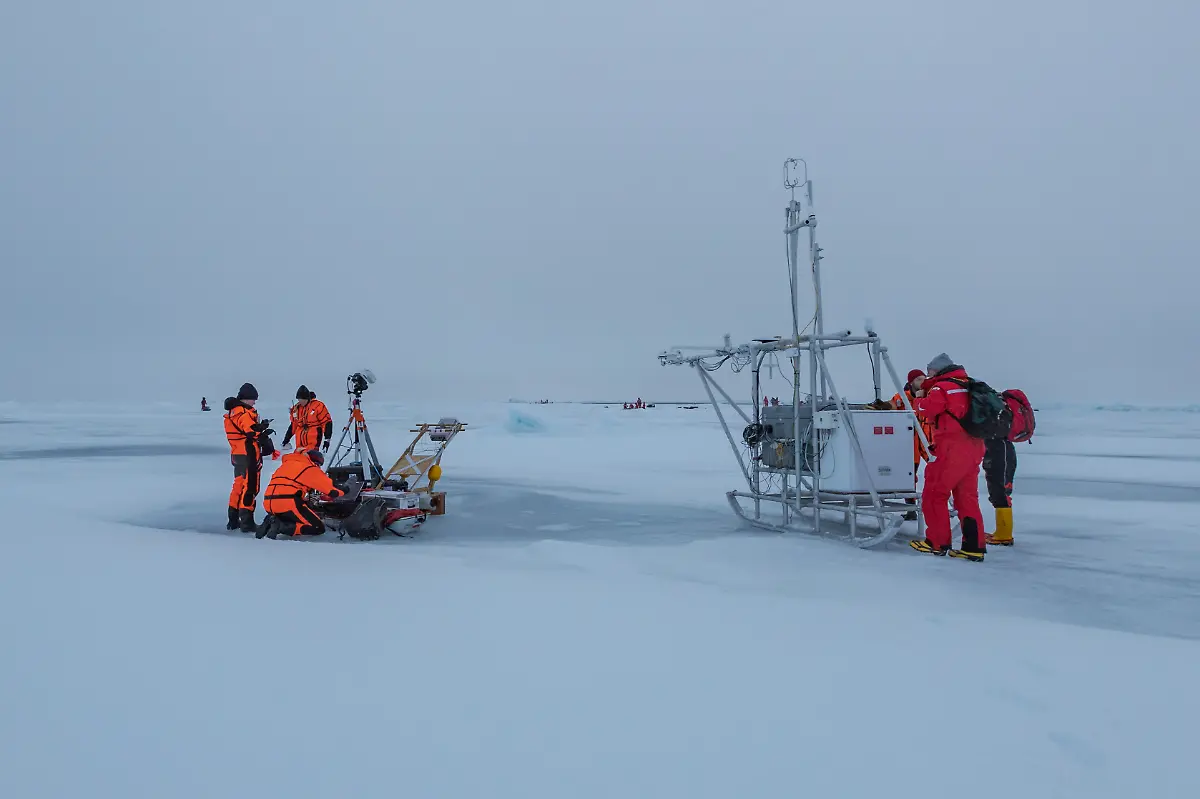 20200924-MOSAiCLeg5-LiannaNixon-005-small