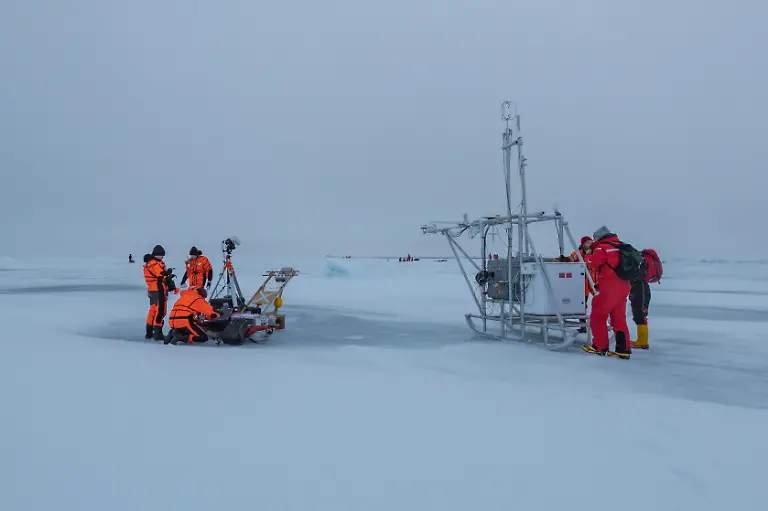 20200924-MOSAiCLeg5-LiannaNixon-005-small