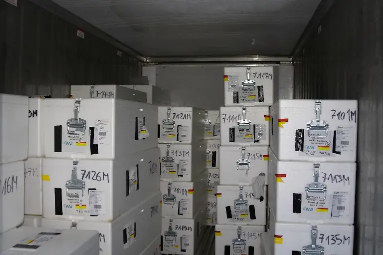 20201003-MOSAiCLeg5-MarcelNicolaus-001-small