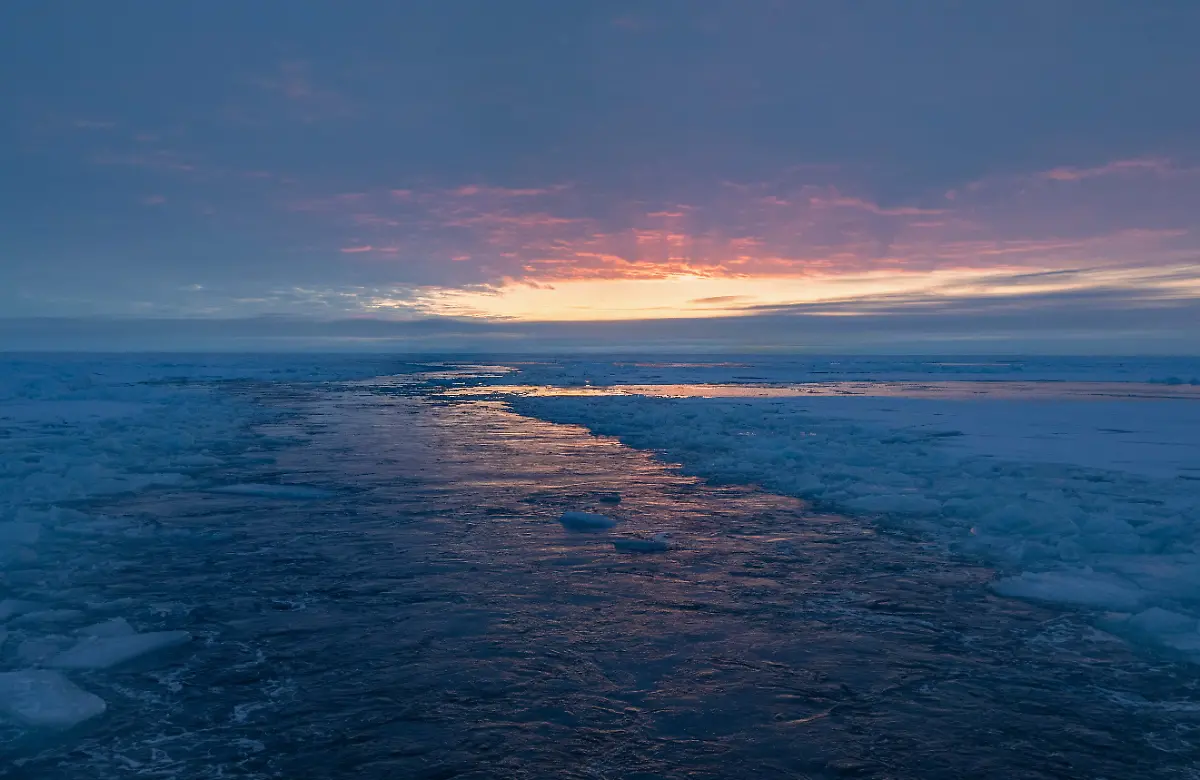 20200921-MOSAiCLeg5-LiannaNixon-003-small