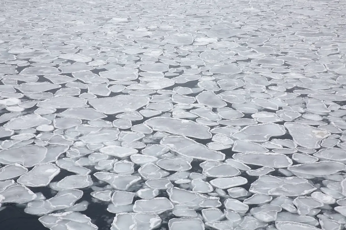 20200929-MOSAiCleg5-FolkeMehrtens-047-small