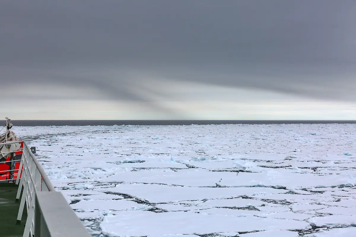 20200609-MOSAiCLeg4-LisaGrosfeld-001