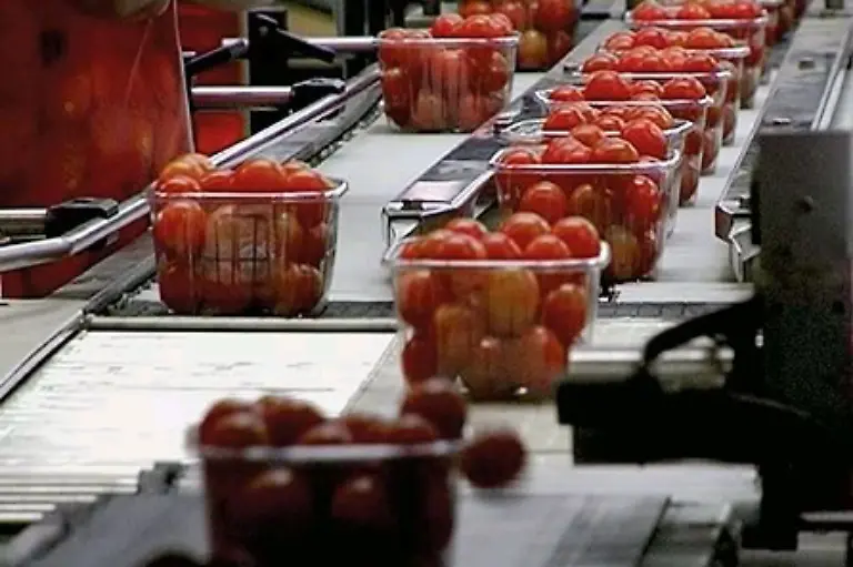 und-Tomaten-3-000-Kilometer-quer-durch-Europa-karrt