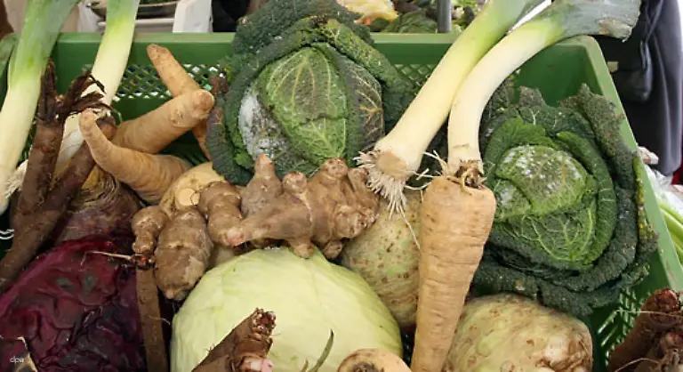 Saatgutfirmen-wiederum-verdraengen-zunehmend-einheimische-alte-Pflanzen-und-machen-die-Bauern-abhaengig-von-Kunstsamen