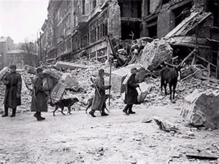 Zwei-Jahre-zuvor-hatten-seine-Eltern-als-Ungarndeutsche-Budapest-verlassen-muessen-Sein-Vater-war-dort-Metzger-die-Mutter-hatte-vor-der-Heirat-einen-Tabakladen-betrieben