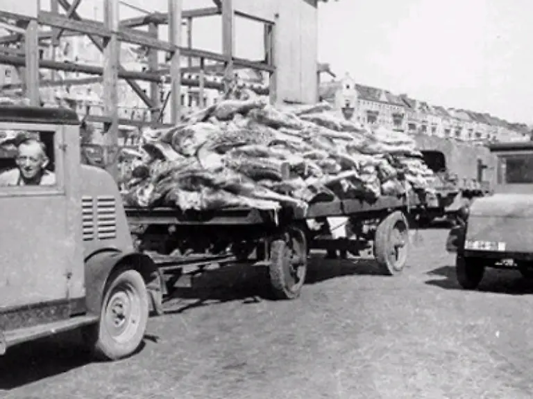 Nach-der-Umsiedlung-in-die-schwaebische-Provinz-muss-sich-der-Vater-als-Hilfsarbeiter-in-Schlachthoefen-durchschlagen