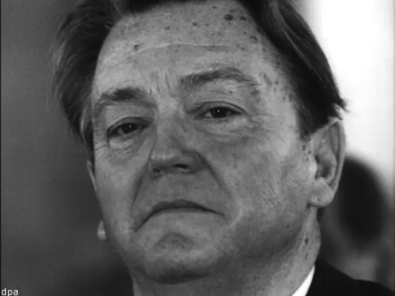 Nicht-weil-in-Hessen-unter-Holger-Boerner-eine-rot-gruene-Koalition-gebildet-wird-und-Fischer-als-Umweltminister-zum-bundesweit-ersten-Kabinettsmitglied-der-Gruenen-wird