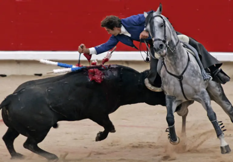 Begnadigt-werden-nur-die-die-besonders-mutig-sind-und-sich-als-Zuchtbullen-eignen