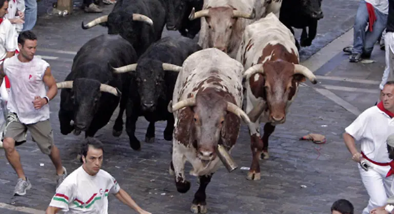 Alle-Jahre-wieder-hetzen-sechs-Kampfstiere-und-sechs-zahme-Leitochsen-durch-die-Altstadt-des-nordspanischen-Pamplona
