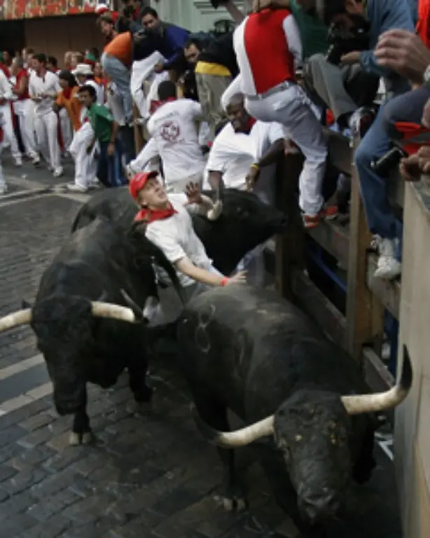 Durch-schmale-Oeffnungen-koennen-sich-die-mozos-fluechten-Eine-Hatz-dauert-meist-keine-vier-Minuten