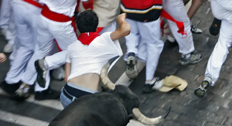 Die-rund-600-Kilogramm-schweren-Stiere-laufen-bis-zu-25-Kilometer-in-der-Stunde-schnell